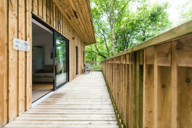 Wooden lodge rooms accommodation